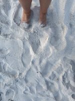 IMG_1598.jpg