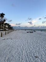 IMG_1602.jpg