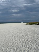 IMG_1636.jpg