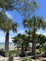 IMG_1740.jpg