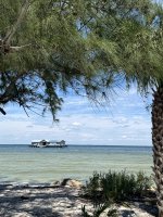 IMG_1742.jpg