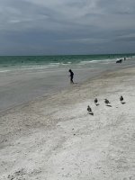 IMG_1755.jpg