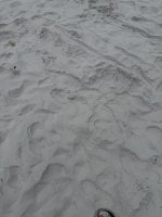 IMG_1771.jpg