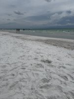 IMG_1779.jpg