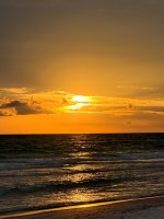 IMG_1880.jpg