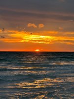 IMG_1887.jpg