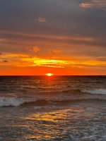 IMG_1895.jpg