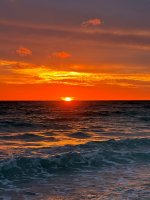IMG_1900.jpg