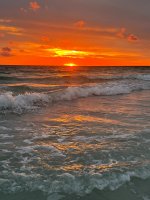 IMG_1902.jpg