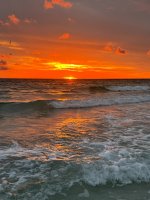 IMG_1910.jpg
