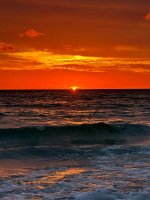 IMG_1912.jpg