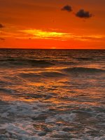 IMG_1918.jpg