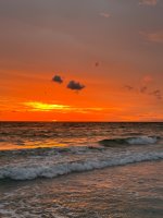 IMG_1921.jpg