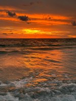 IMG_1930.jpg