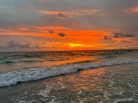 IMG_1933.jpg