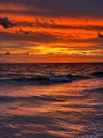 IMG_1937.jpg
