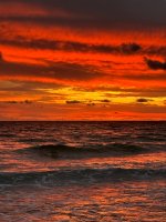IMG_1939.jpg