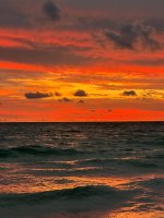 IMG_1943.jpg