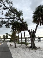 IMG_2060.jpg