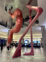 IMG_2099.jpg
