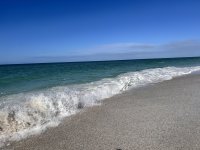 IMG_3901.jpeg