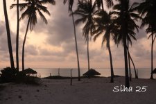 IMG_7670.JPG
