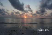 IMG_7673.JPG