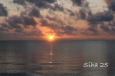 IMG_7675.JPG