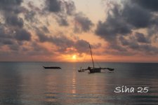 IMG_7677.JPG