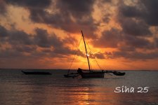 IMG_7684.JPG