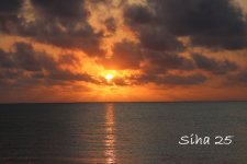 IMG_7685.JPG