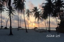 IMG_7689.JPG