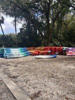 IMG_3981.jpeg