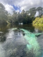 IMG_3994.jpeg