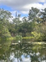 IMG_4002.jpeg