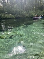IMG_4068.jpeg