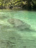 IMG_4097.jpeg