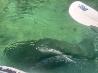 IMG_4091.jpeg