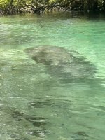 IMG_4096.jpeg