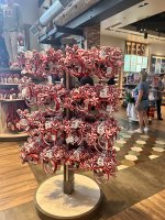 IMG_4133.jpeg