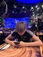 IMG_4233.jpeg