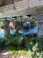 IMG_4295.jpeg