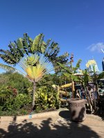 IMG_4297.jpeg