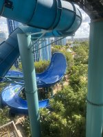 IMG_4313.jpeg