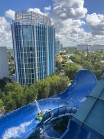 IMG_4319.jpeg