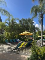 IMG_4324.jpeg