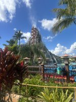 IMG_4353.jpeg