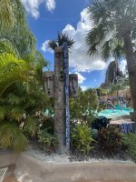 IMG_4358.jpeg