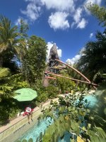 IMG_4378.jpeg