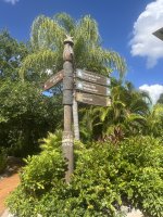 IMG_4385.jpeg